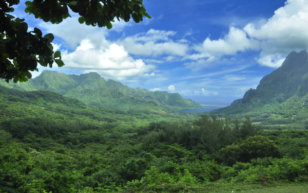 4K Ultra HD desktop wallpaper of Moorea, French Polynesia: lush tropical valley and jagged mountains opening to turquoise sea under blue sky, verdant island landscape near Tahiti.