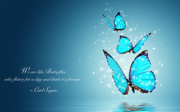 HD PC wallpaper featuring bright blue butterflies against a glowing blue background with a Carl Sagan quote: We are the butterflies who flutter for a day and think it forever.