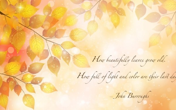 Misc Quote John Burroughs Leaf Fall HD Wallpaper | Background Image