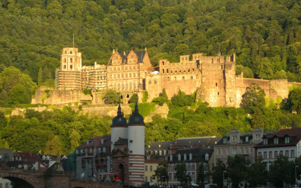 man made Heidelberg Castle HD Desktop Wallpaper | Background Image
