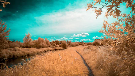 A tranquil landscape featuring a winding path alongside a river, lush trees, and vibrant clouds, captured in stunning 4K Ultra HD for a serene nature backdrop.