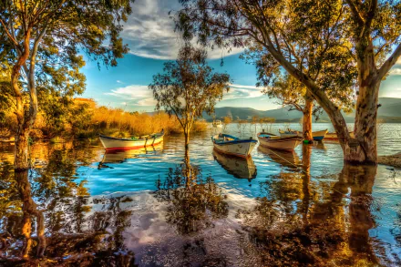A serene view of Bafa Lake in Turkey, featuring colorful boats anchored among reflections of trees and water, captured in vibrant HDR photography.
