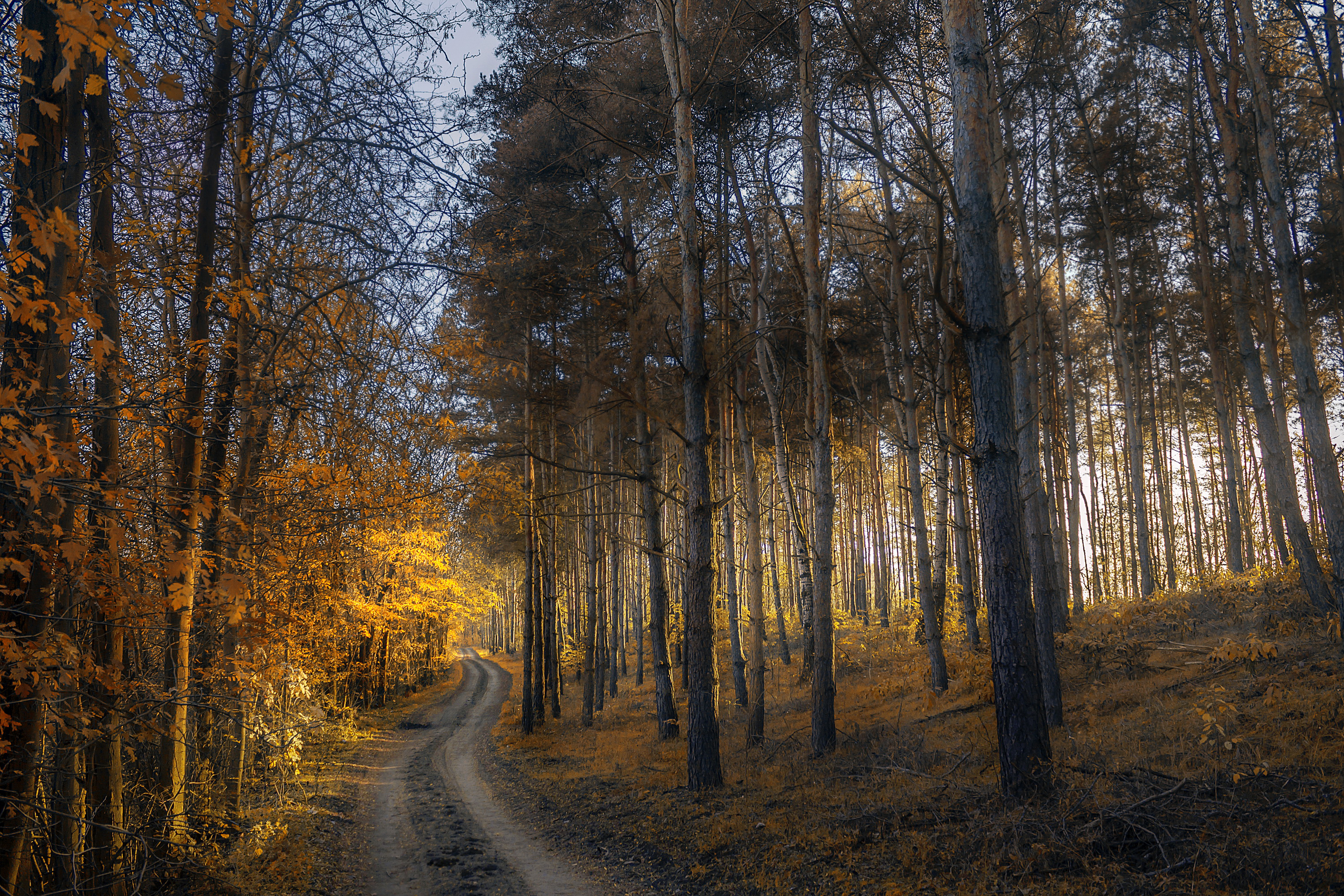Man Made Path HD Wallpaper | Background Image