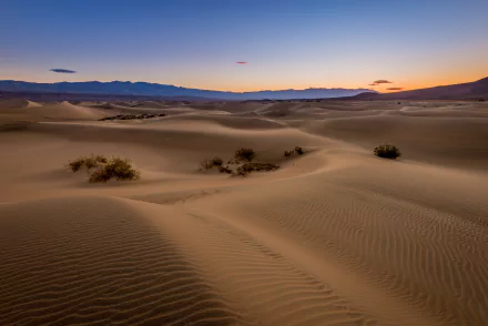 Morning light casts soft shadows over vast sand dunes in California's Death Valley desert, captured in stunning 4K Ultra HD detail.