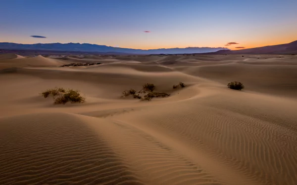 Morning light casts soft shadows over vast sand dunes in California's Death Valley desert, captured in stunning 4K Ultra HD detail.