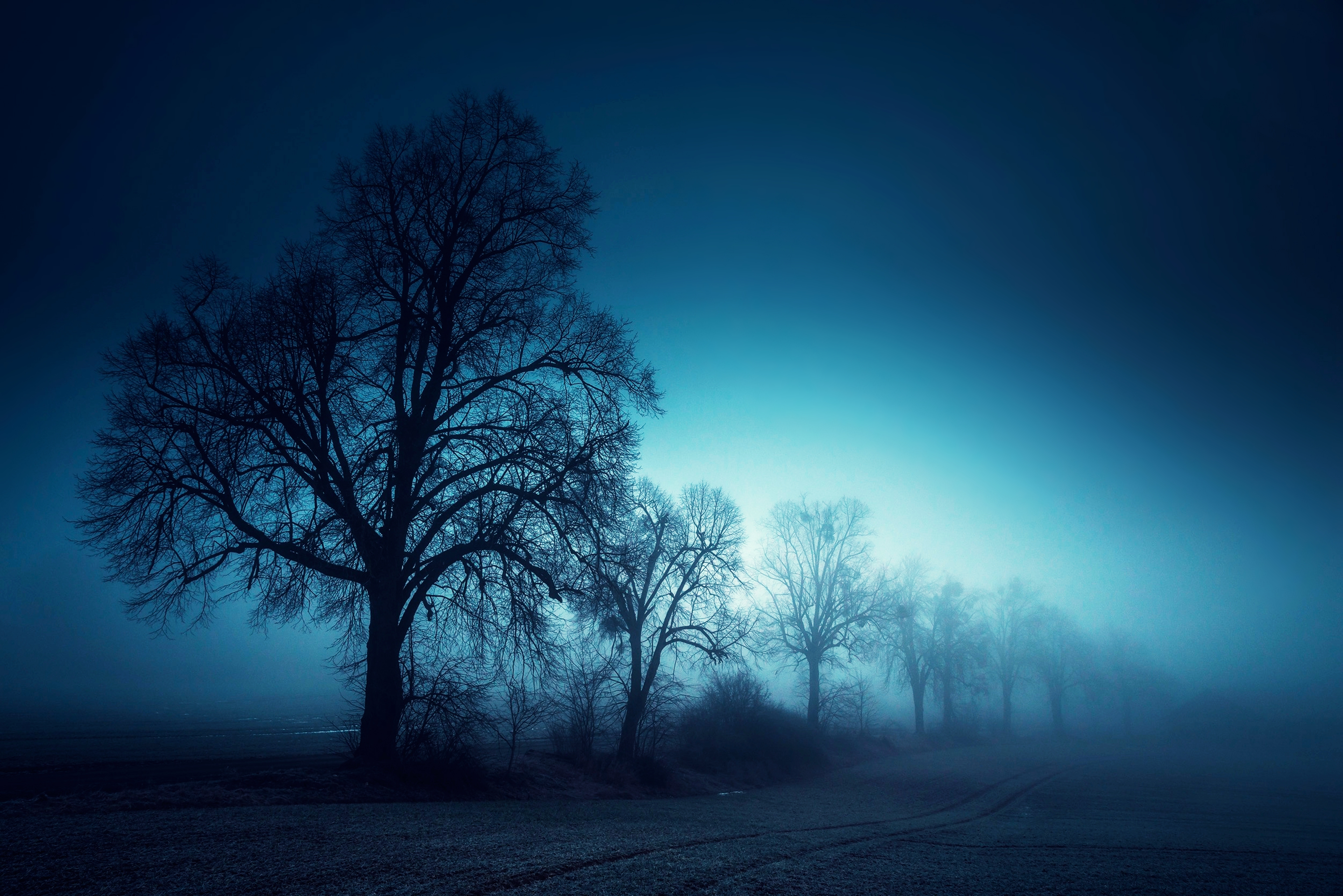 Foggy Day 4k Ultra HD Wallpaper | Background Image | 3840x2562 | ID