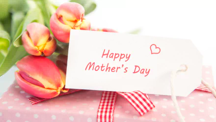 HD desktop wallpaper featuring pink tulips and a tag with Happy Mother's Day text, capturing a warm holiday sentiment.