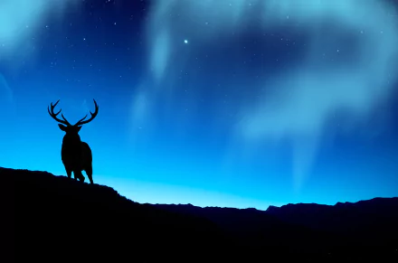 A majestic deer silhouette stands against a stunning night sky, illuminated by a soft blue hue and shimmering stars, creating a captivating 4K Ultra HD desktop wallpaper.