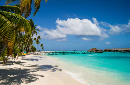 A stunning view of a tranquil lagoon at Constance Halaveli Resort, featuring palm trees, a wooden pier, and crystal-clear sea, capturing the essence of a tropical holiday in the Maldives.