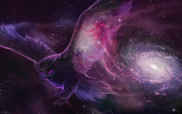 Animal Owl Birds Owls Galaxy Stars HD Wallpaper | Background Image