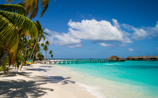 A stunning view of a tranquil lagoon at Constance Halaveli Resort, featuring palm trees, a wooden pier, and crystal-clear sea, capturing the essence of a tropical holiday in the Maldives.