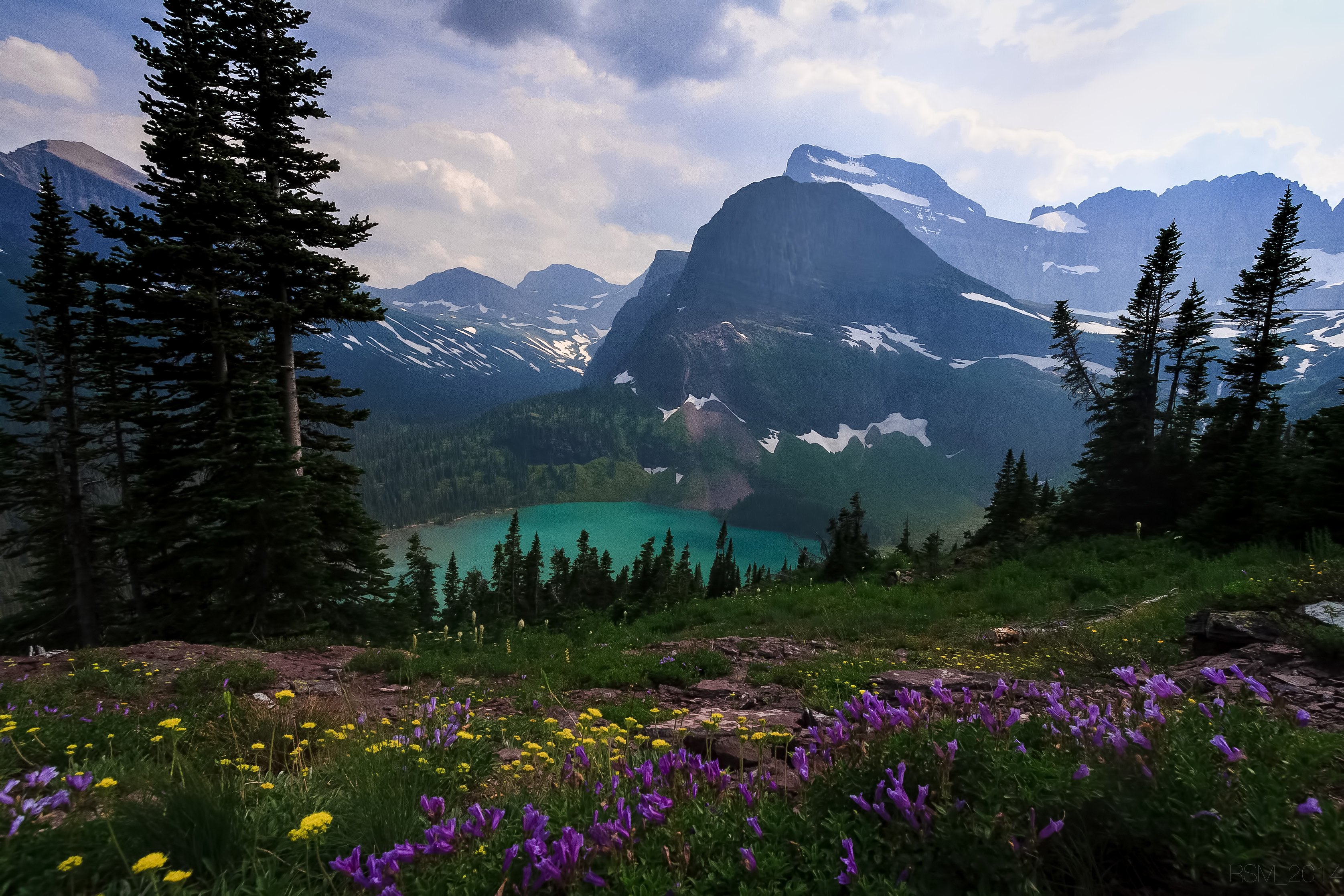 Grinnell Glacier Bloom Majestic Montana Landscape At Glacier National 