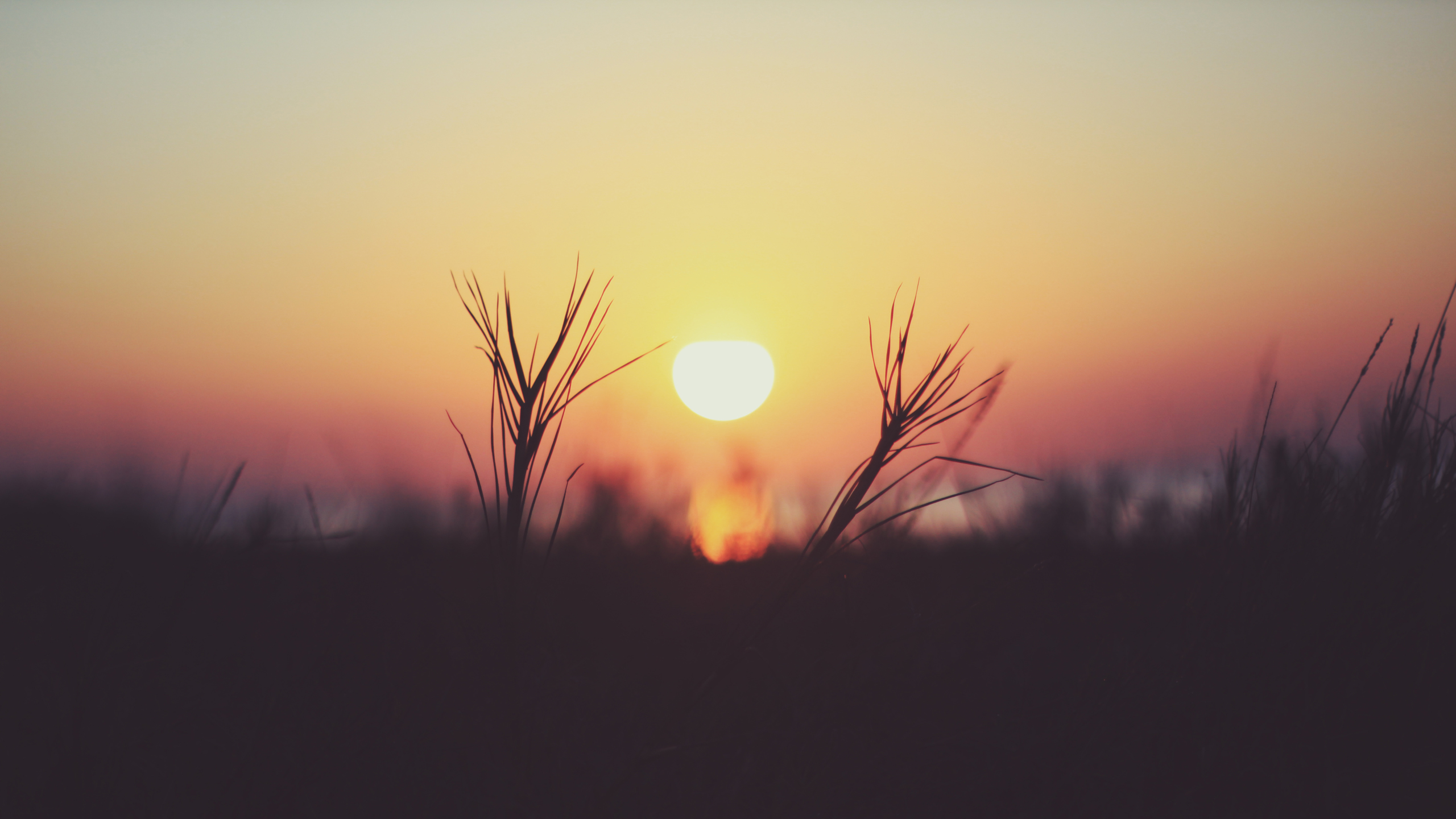 Download Nature Sunset HD Wallpaper