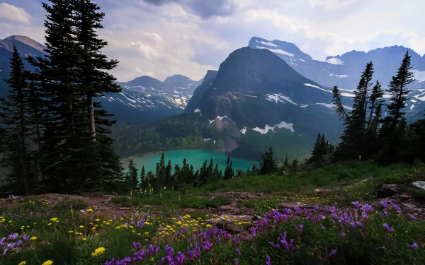 HD landscape wallpaper of Grinnell Glacier and Lake in Glacier National Park, Montana, featuring vibrant wildflowers in the foreground and the Lewis Range with Mount Gould in the background.