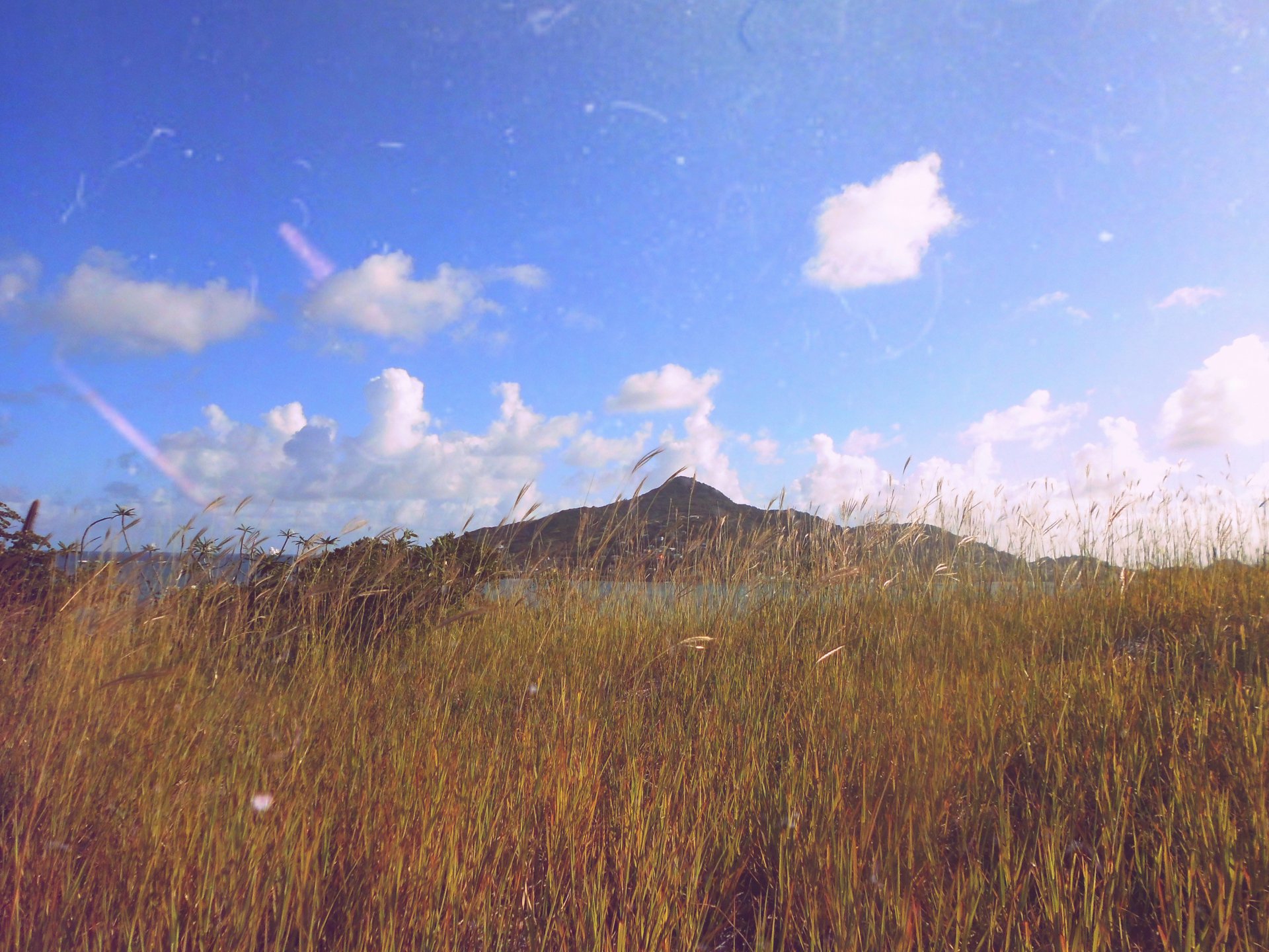 caribbean life by primewilson