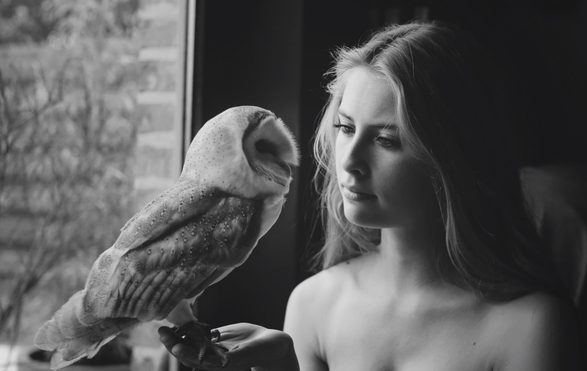 Black and white HD wallpaper of a blonde model gazing at an owl perched on her hand in front of a window.
