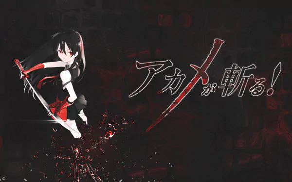 HD desktop wallpaper of Akame from the anime Akame ga Kill! featuring Akame in an action pose with Japanese text and a dark background.