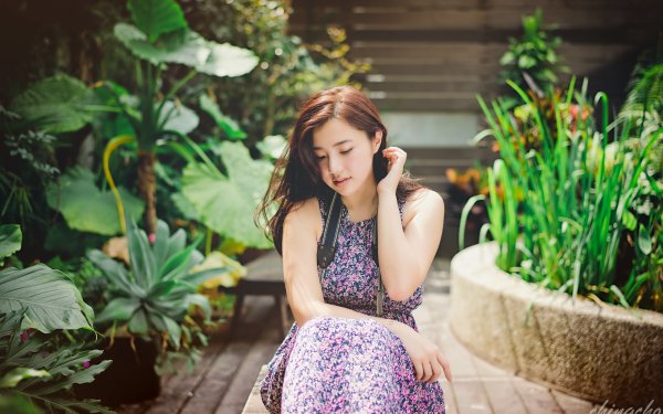Women Chén Sīyǐng Model Asian Taiwanese Garden Dress HD Wallpaper | Background Image