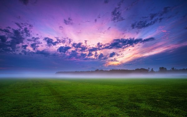 Aarde/Natuur Veld Mist Landschap Natuur Zonsopkomst Wolk Gras HD Wallpaper | Achtergrond