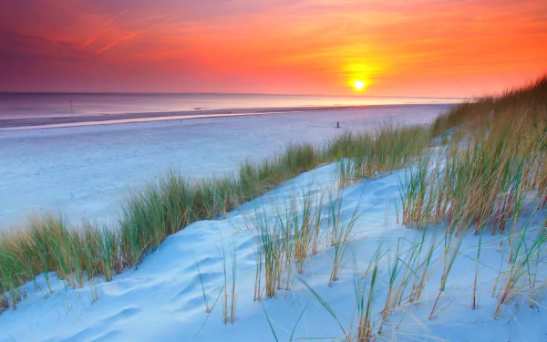 HD desktop wallpaper of a beach at sunset, featuring ocean waves, sandy dunes with grass, and vibrant natural colors.