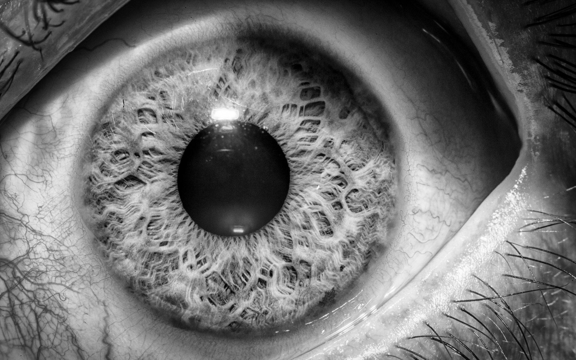 Макросъемка глаза. Человеческий глаз. Красивые Радужки глаз. Глаз крупным планом.