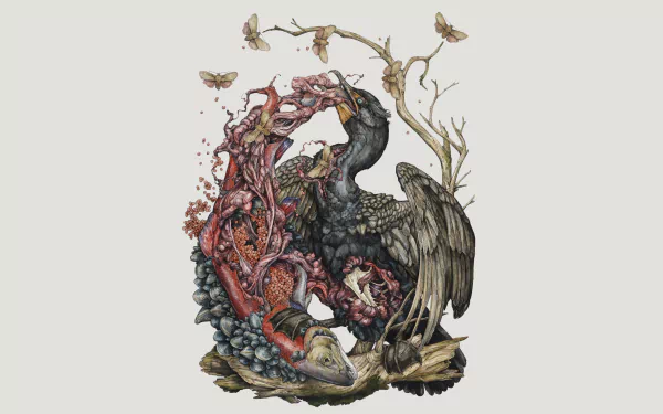 Animal cormorant HD Desktop Wallpaper | Background Image