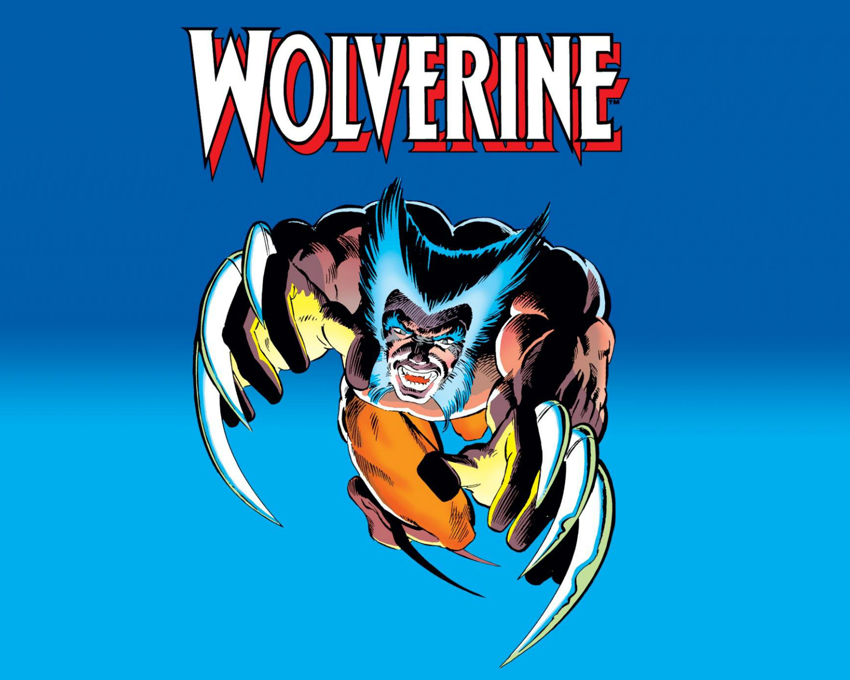 Wolverine Wallpaper and Background Image | 1667x1334