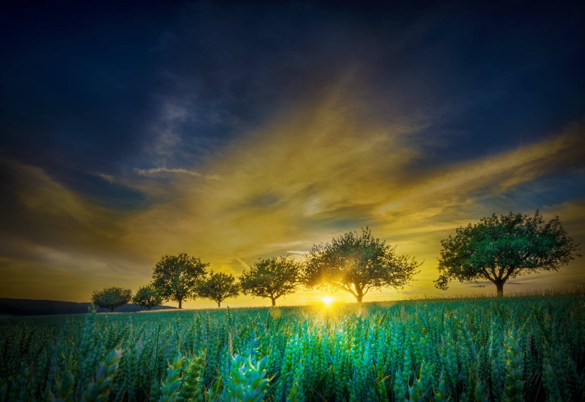 Download Cloud Landscape Sunrise Tree Nature Field HD Wallpaper by Rolf ...