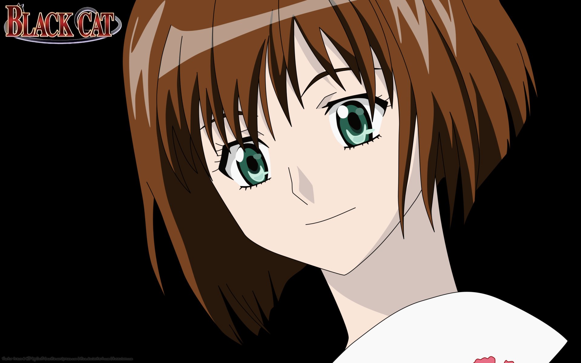 Download Anime Black Cat (Anime) HD Wallpaper