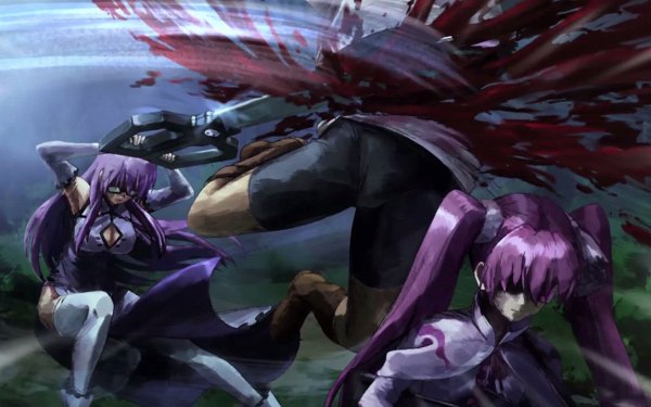 Anime Akame ga Kill! Mine Sheele HD Wallpaper | Background Image