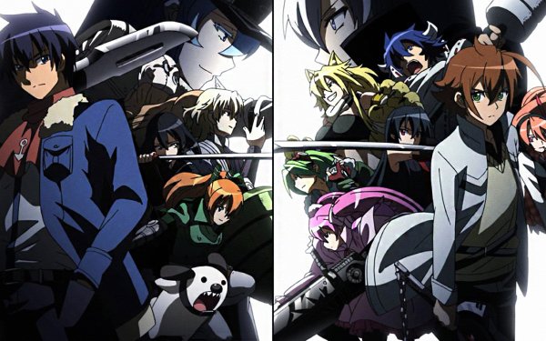 Anime Akame ga Kill! Akame Bulat Chelsea Leone Lubbock Mine Najenda Sheele Susanoo Tatsumi Bols Kurome HD Wallpaper | Background Image