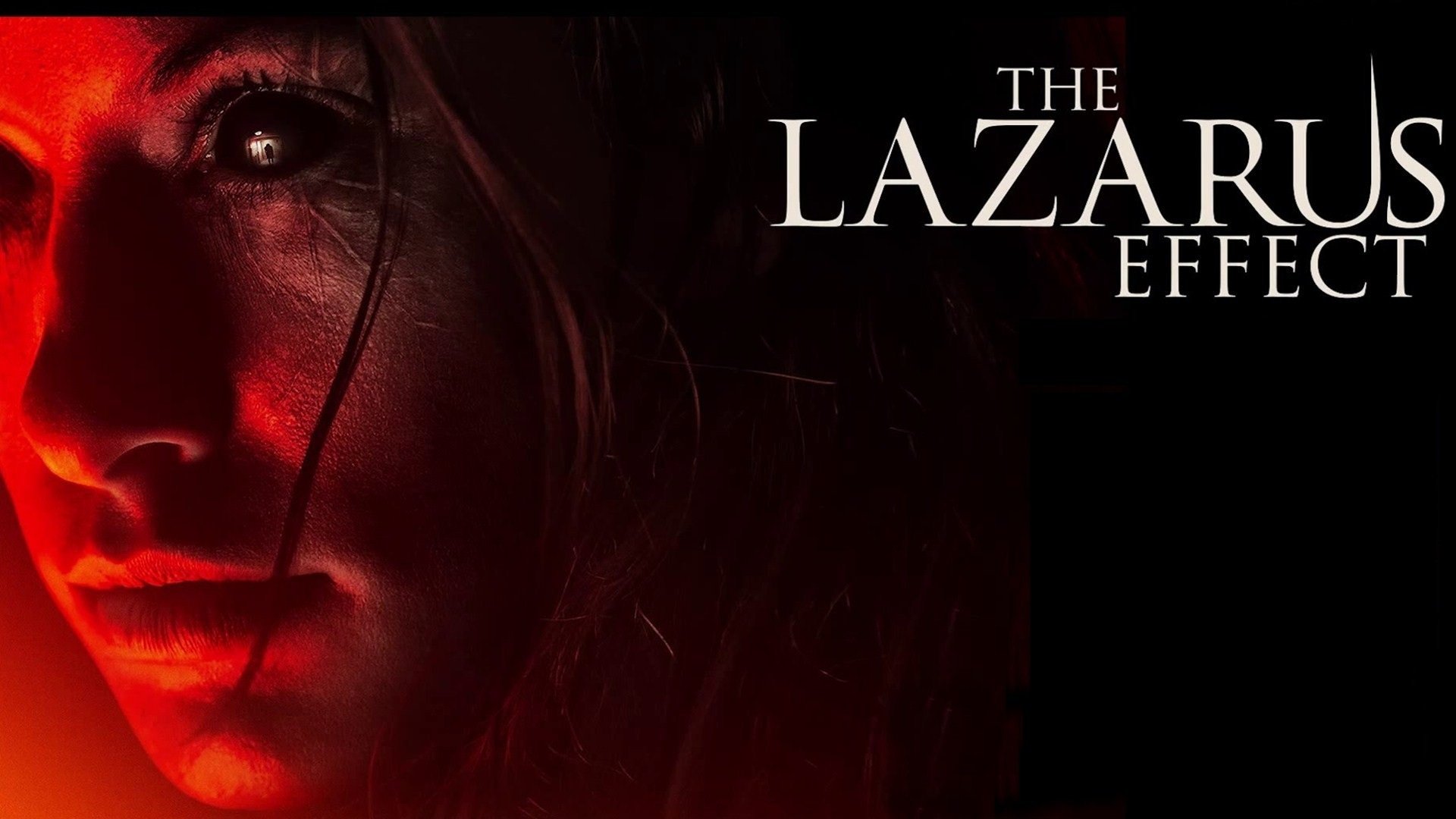 Movie The Lazarus Effect HD Wallpaper | Background Image