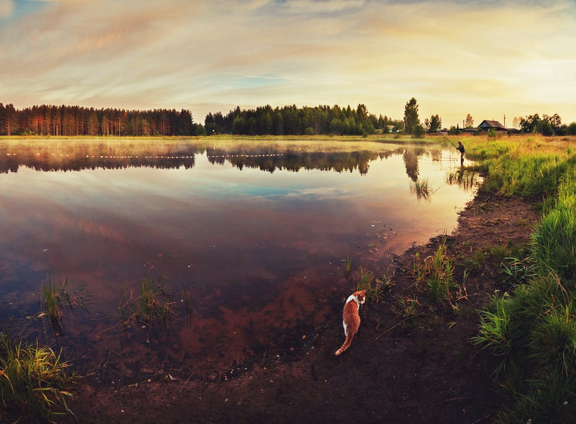 4K Ultra HD PC wallpaper: tranquil countryside lake at sunset with mirrored sky, a cat at the water's edge and a distant angler — earth landscape nature photography.