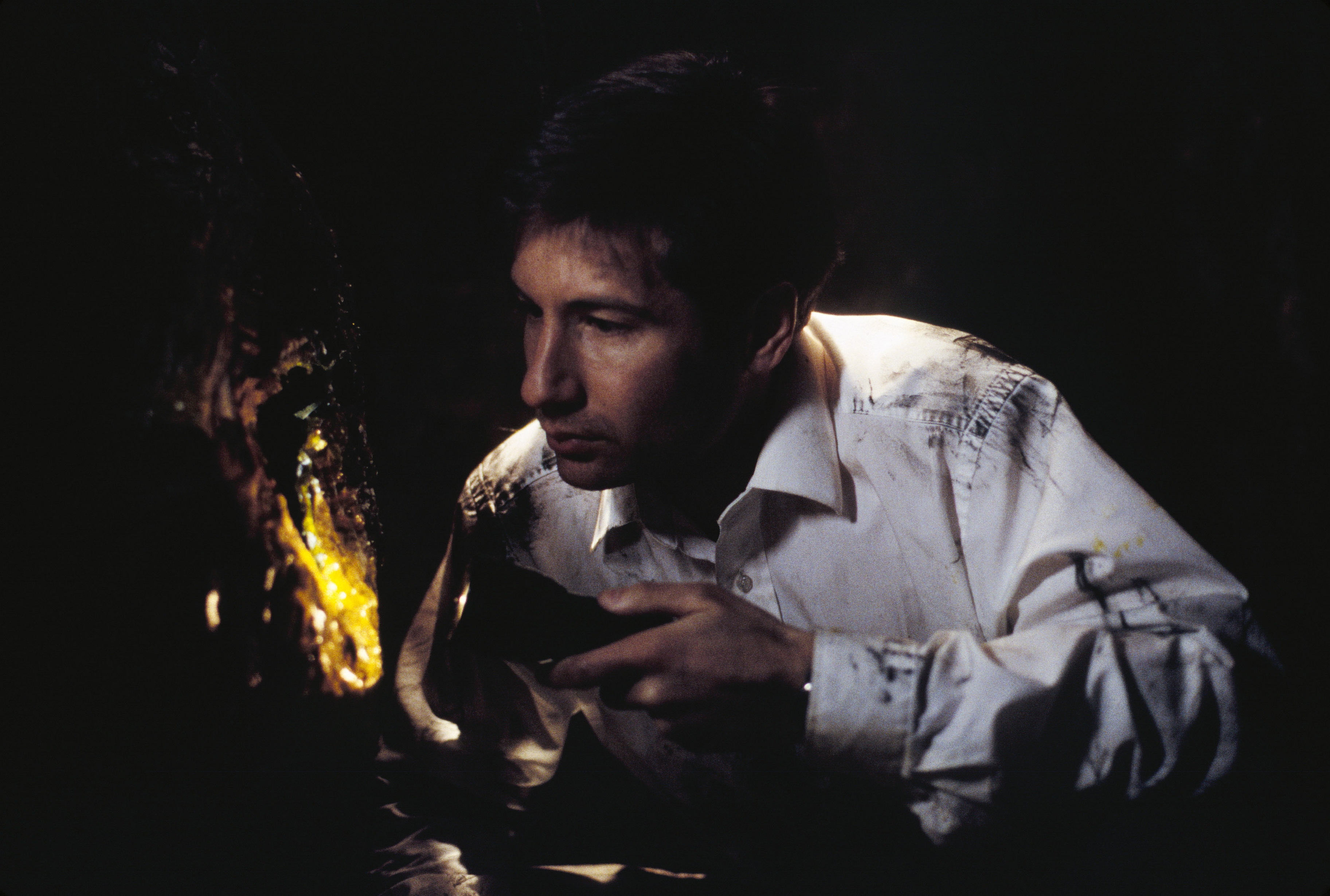 TV Show The X-Files HD Wallpaper | Background Image