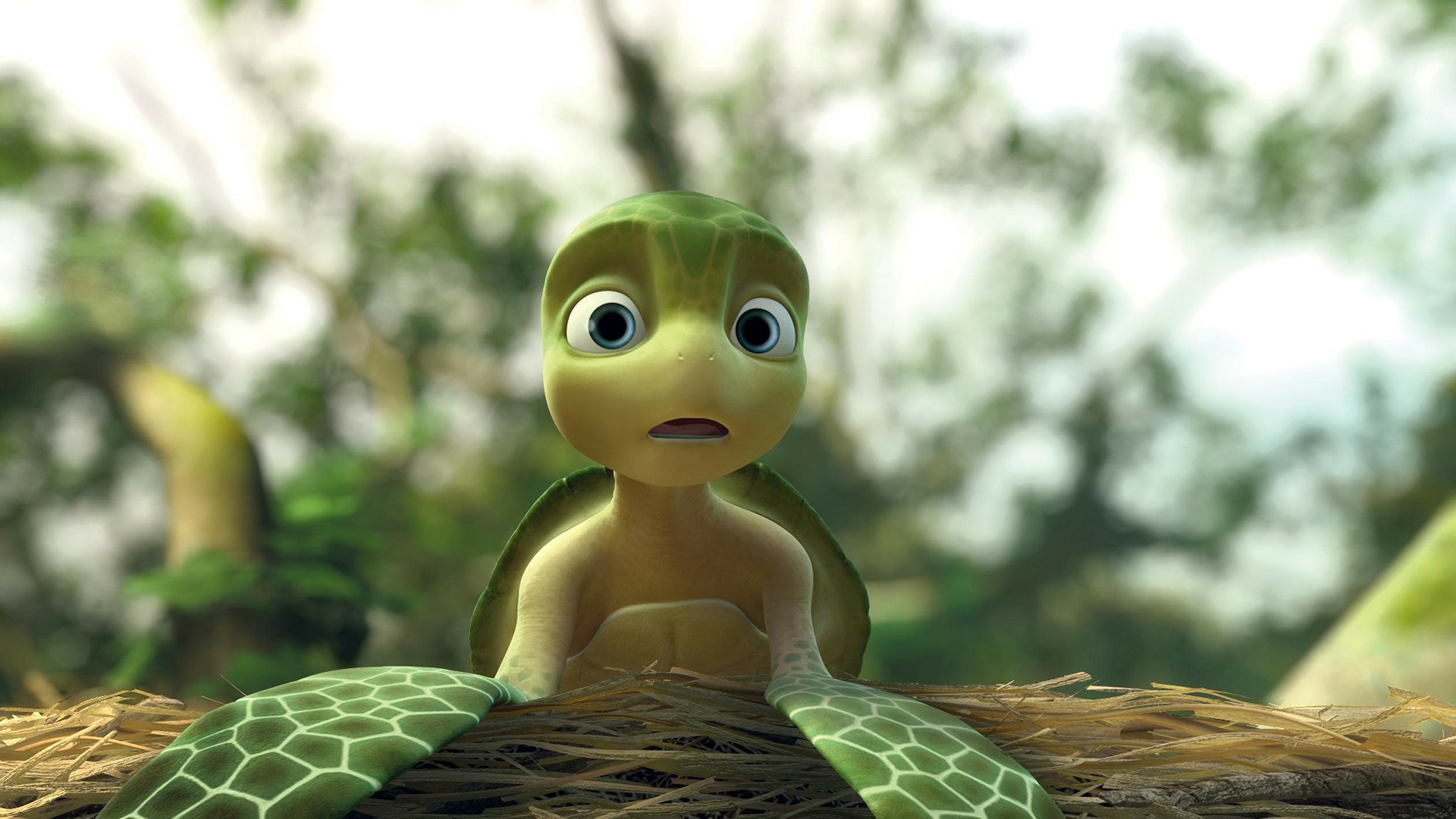 Download Movie A Turtle's Tale: Sammy's Adventures HD Wallpaper