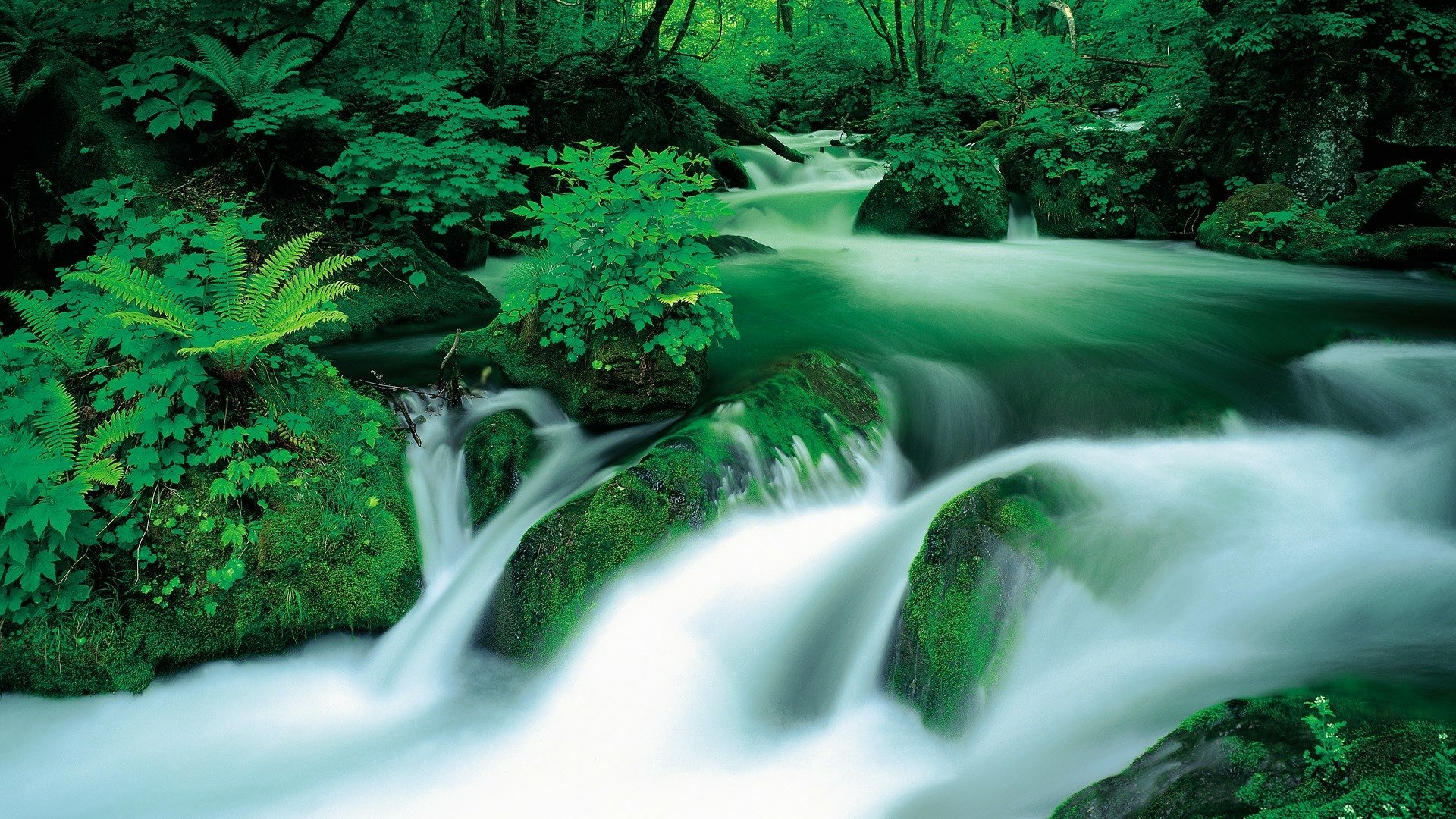 Download Nature Stream HD Wallpaper