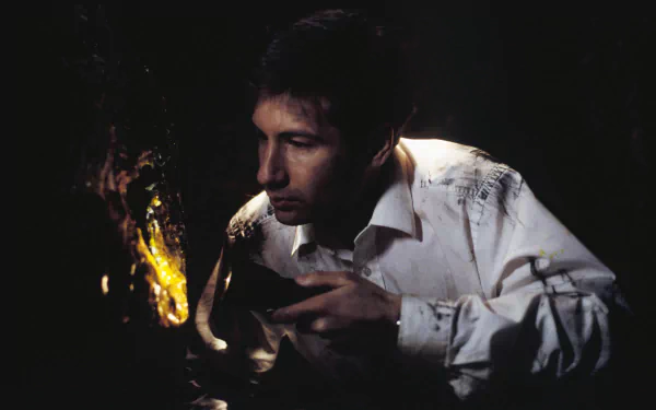 TV Show The X-Files HD Desktop Wallpaper | Background Image