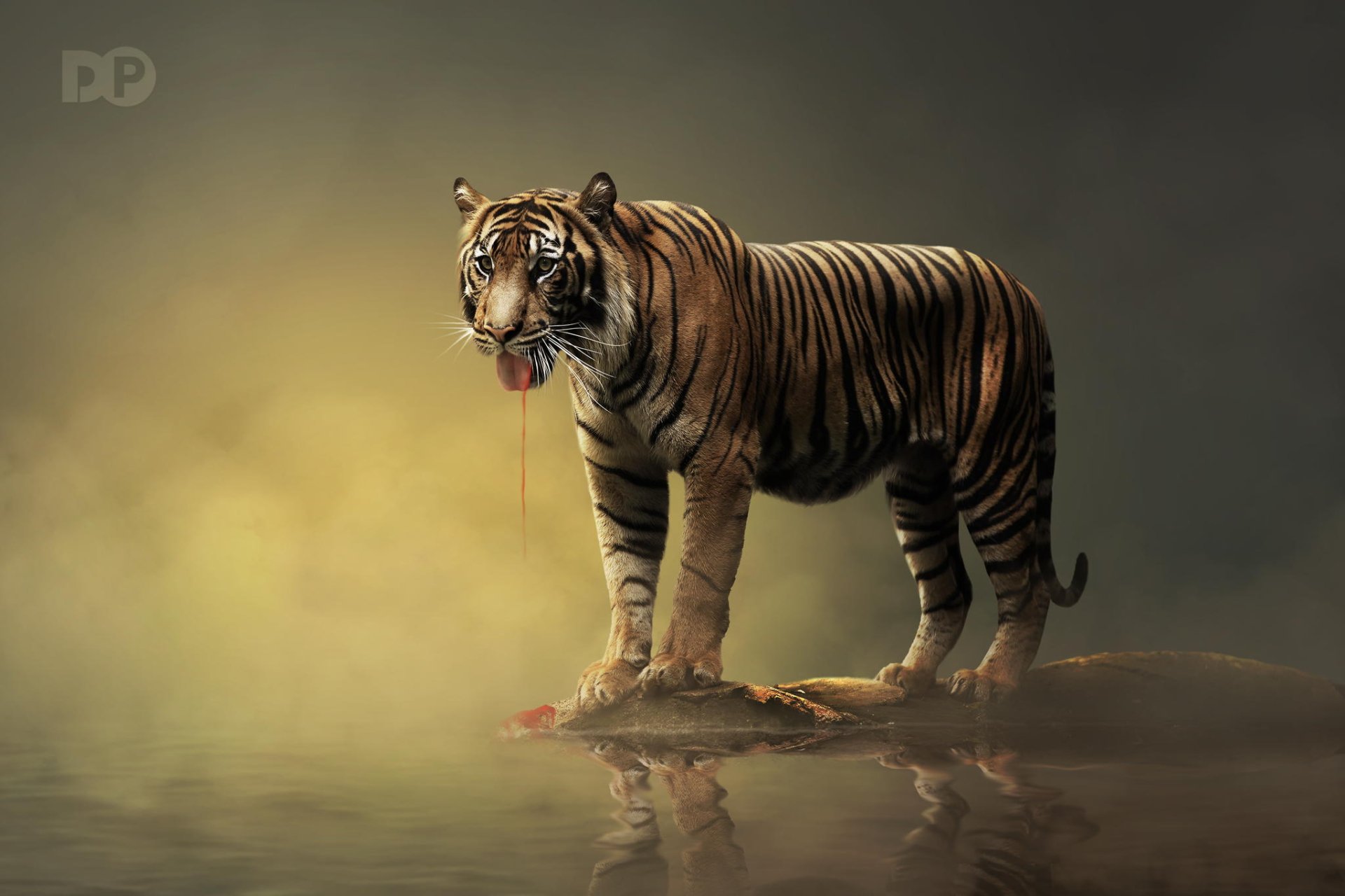 HD desktop wallpaper of a majestic tiger standing on a rock, surrounded by mist and soft golden light.