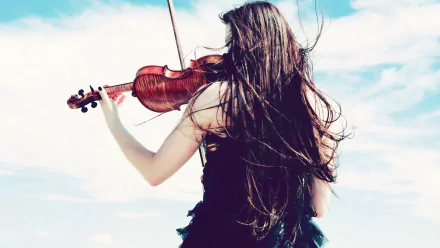 music violin HD Desktop Wallpaper | Background Image