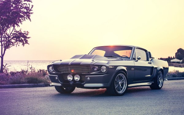 Vehicles Ford Mustang Shelby Cobra GT 500 Ford HD Wallpaper | Background Image