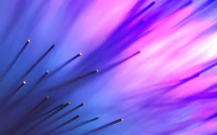 Abstract purple abstract purple HD Desktop Wallpaper | Background Image