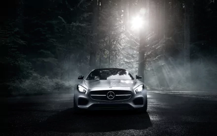  2016 Mercedes-Benz AMG GT S