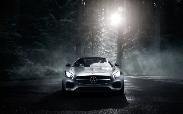 Mercedes-Benz AMG GT in a dark forest setting with mist and bright headlights, captured as an HD PC desktop wallpaper background.