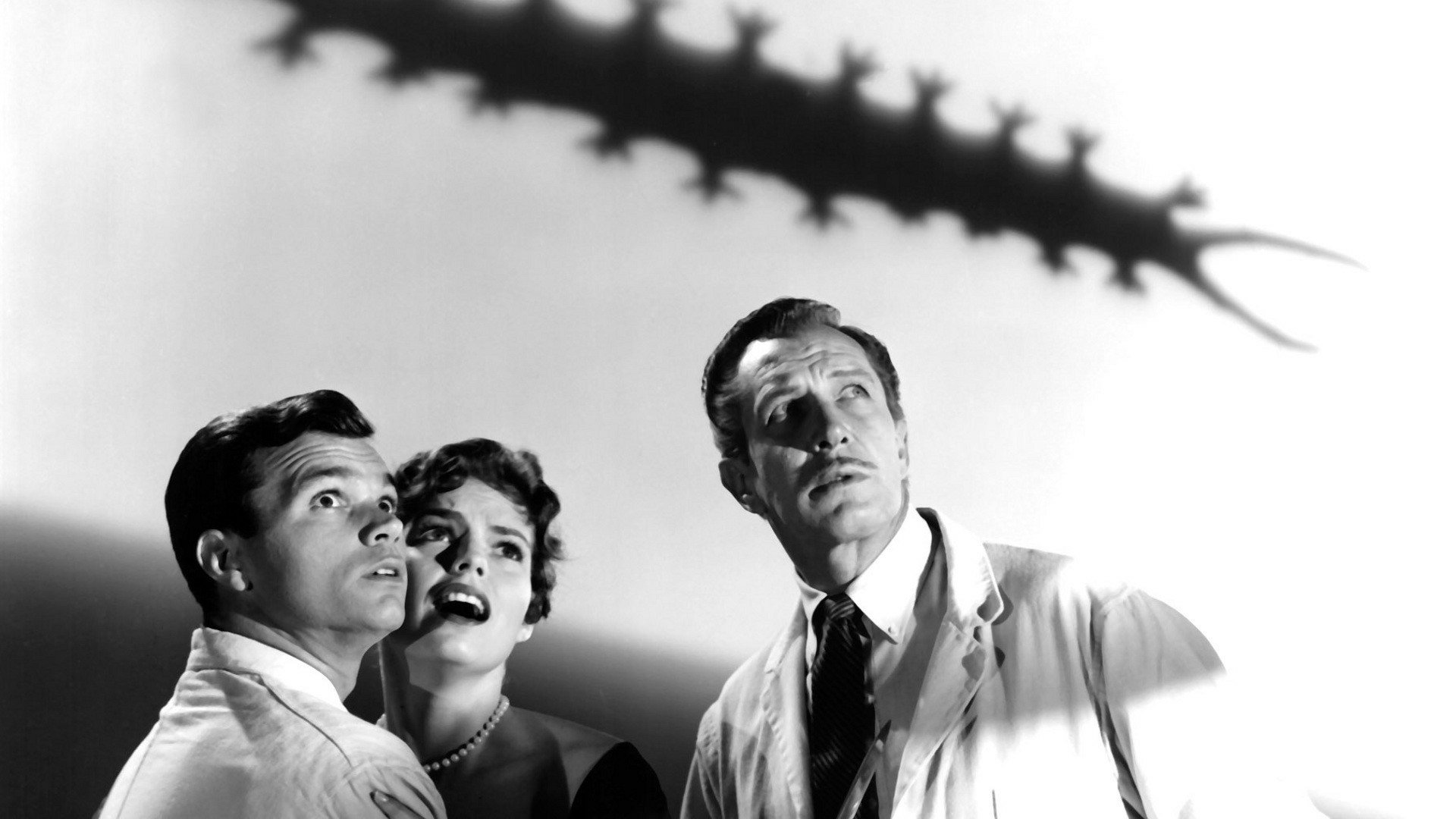 Download Movie The Tingler HD Wallpaper