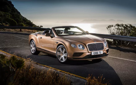  Bentley Continental GT Convertible