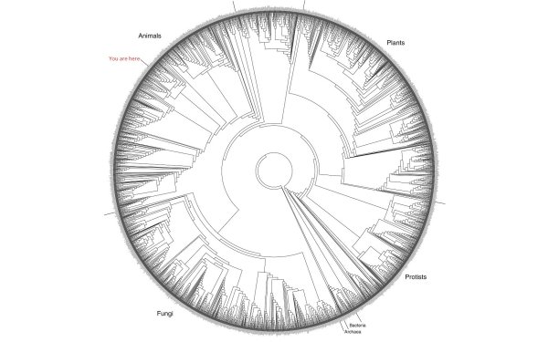 30+ Graph HD Wallpapers | Background Images