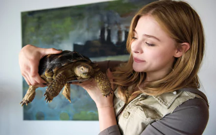 Chloë Grace Moretz movie Laggies HD Desktop Wallpaper | Background Image