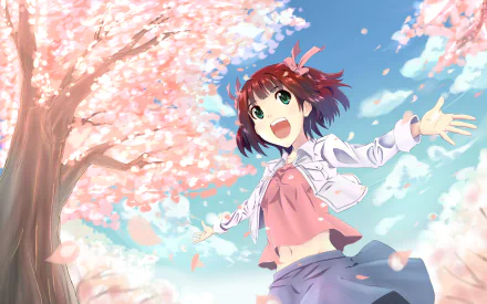 Haruka Amami Anime The iDOLM@STER HD Desktop Wallpaper | Background Image