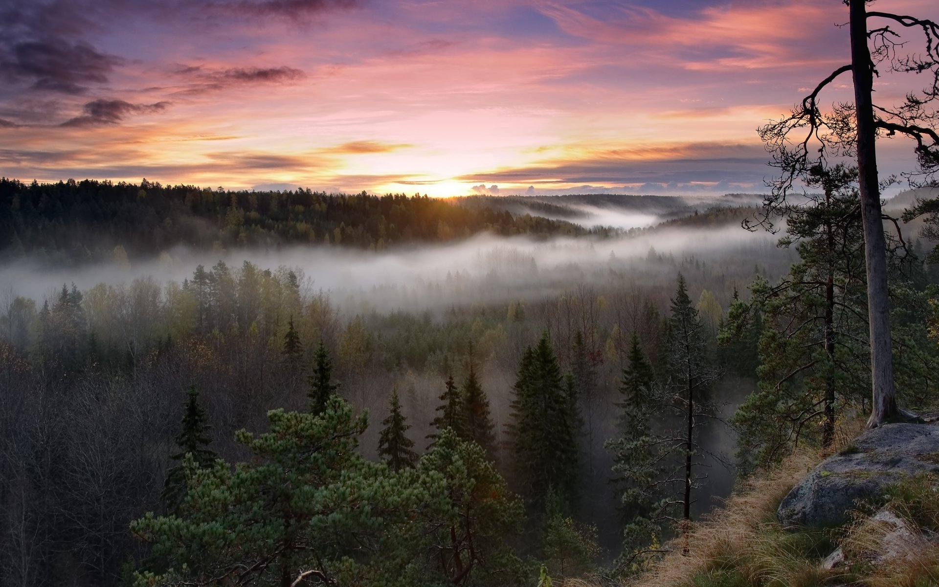 HD PC desktop wallpaper featuring a serene landscape with misty forests, rolling hills, and a colorful sunrise sky.