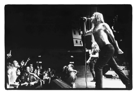 music Iggy Pop HD Desktop Wallpaper | Background Image